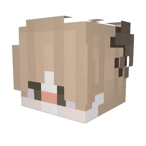Deus_3131 Minecraft avatar head, 3D render