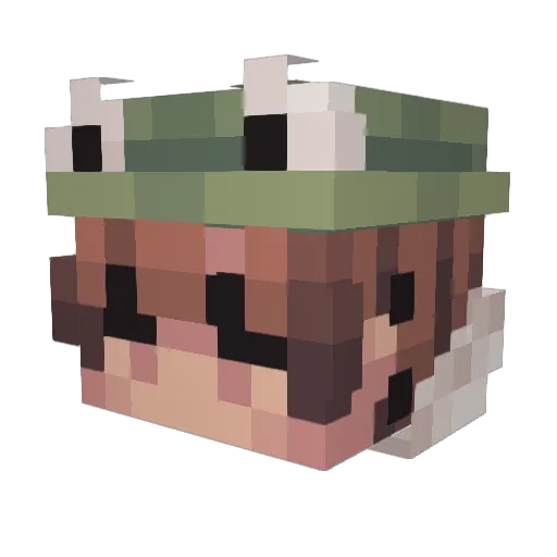 Dev09gamer22 Minecraft avatar head, 3D render