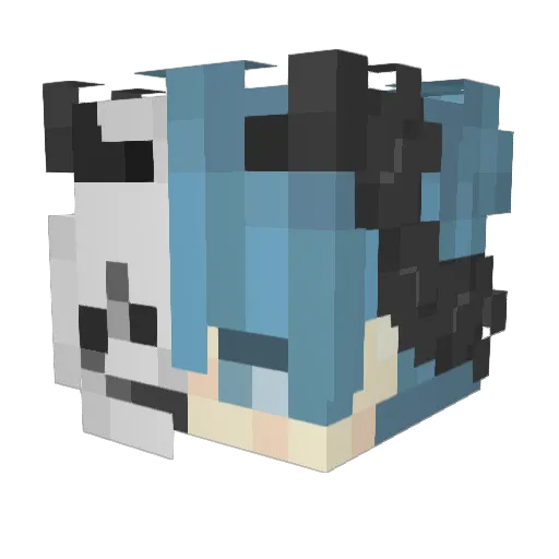 Dev0id_ Minecraft avatar head, 3D render