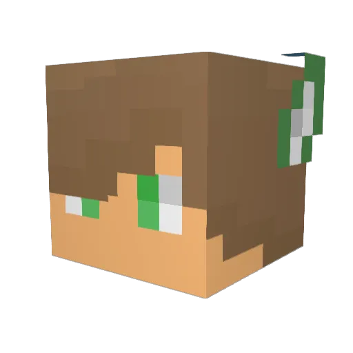 DevDaNerd Minecraft avatar head, 3D render