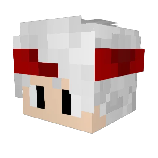 DevSnox Minecraft avatar head, 3D render