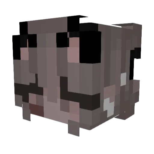 DevTimmo Minecraft avatar head, 3D render
