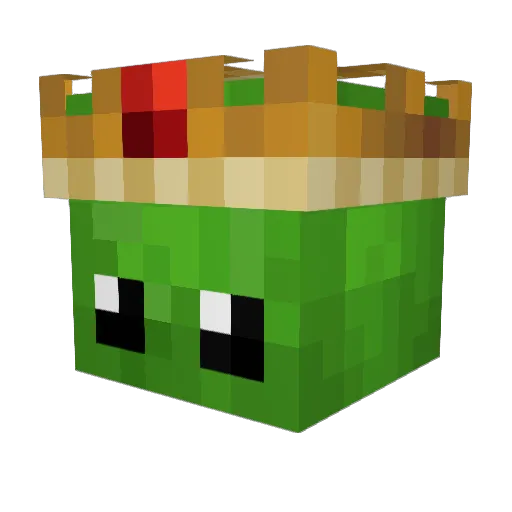 DevTurtle Minecraft avatar head, 3D render