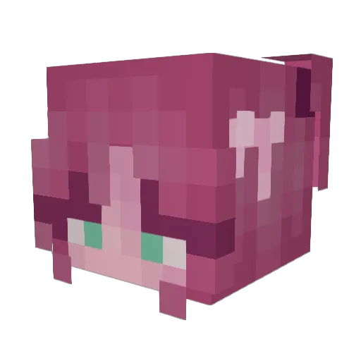 Devaille Minecraft avatar head, 3D render