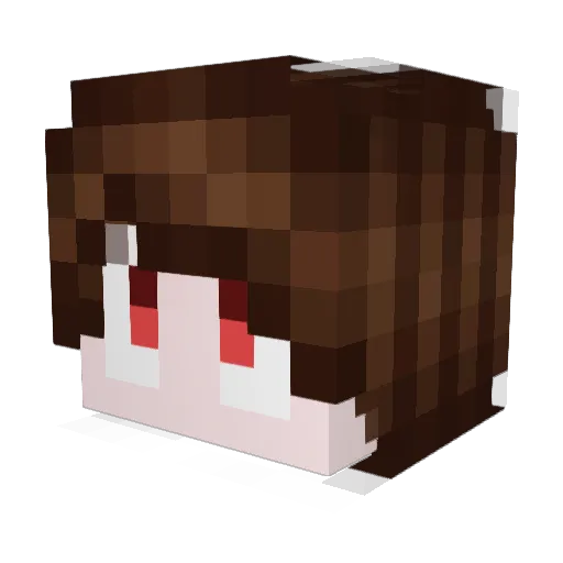 Devanister Minecraft avatar head, 3D render