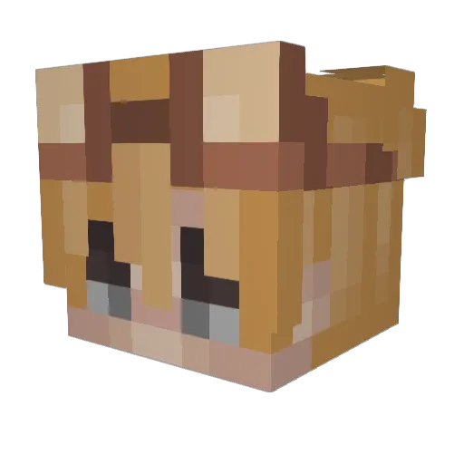 DeveLy23 Minecraft avatar head, 3D render