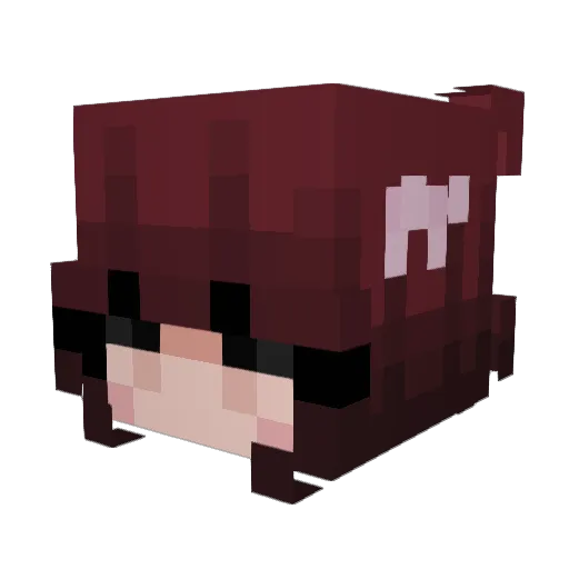 Developgirl Minecraft avatar head, 3D render