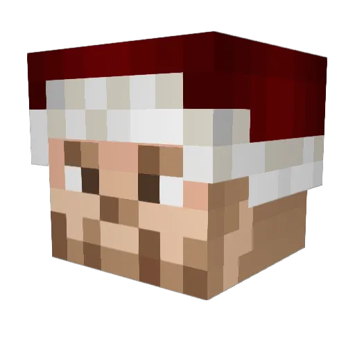 DevexPL Minecraft avatar head, 3D render