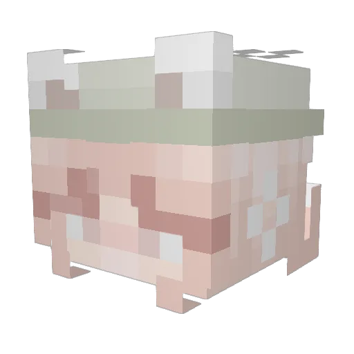 Devil_Luna Minecraft avatar head, 3D render