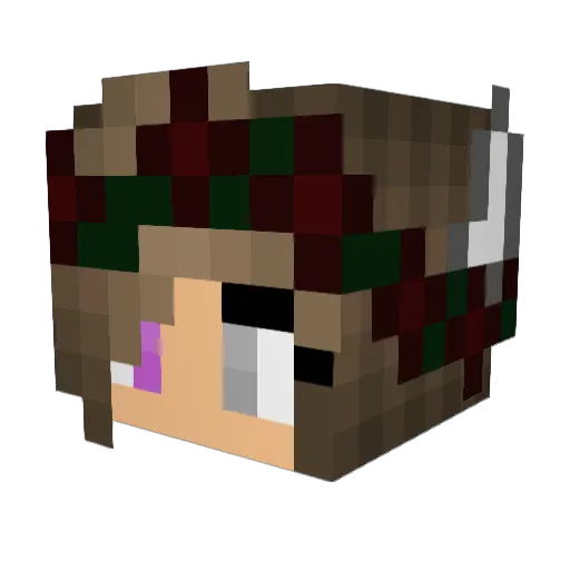 Devilgirl5893 Minecraft avatar head, 3D render