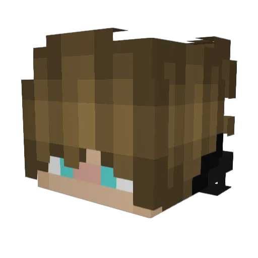 Devilish901 Minecraft avatar head, 3D render