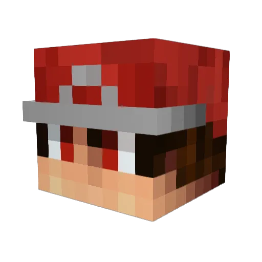 Devilslayer04 Minecraft avatar head, 3D render