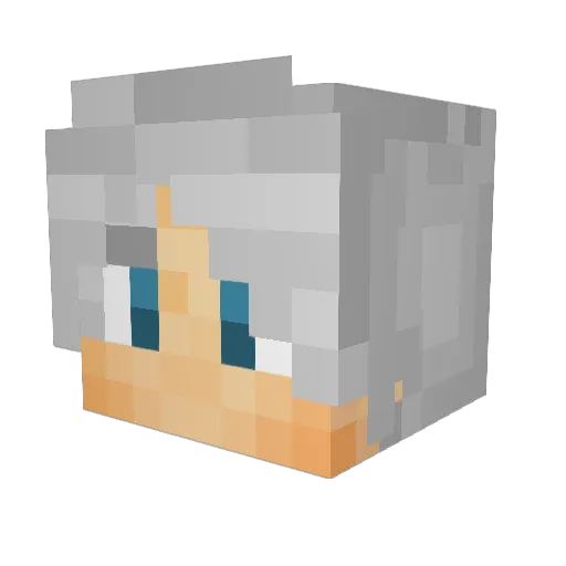 Devin13132 Minecraft avatar head, 3D render