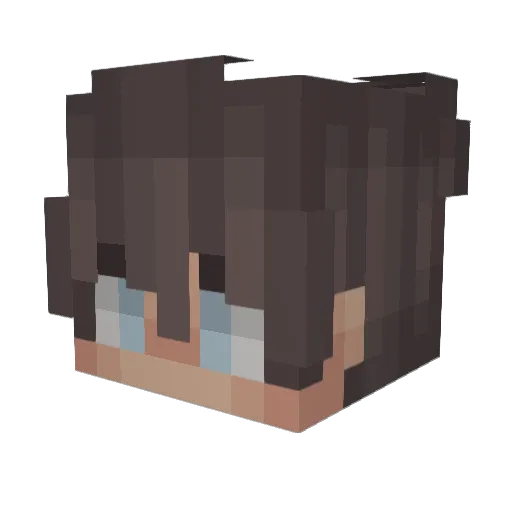 Devin20032003 Minecraft avatar head, 3D render