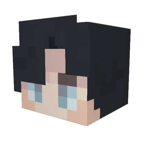 Devin2007_ Minecraft avatar head, 3D render