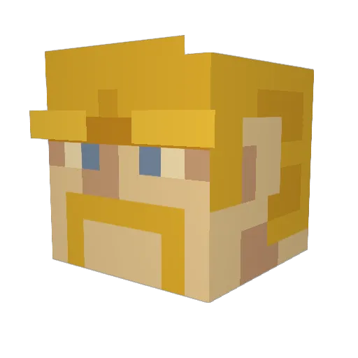 Devin69420 Minecraft avatar head, 3D render