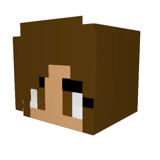 Devin_Tuan Minecraft avatar head, 3D render