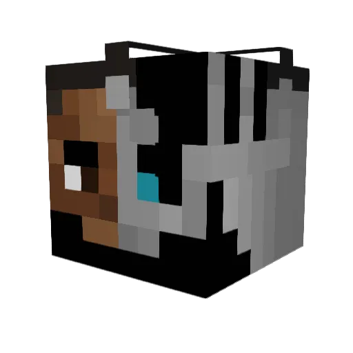 DeviousDoor69 Minecraft avatar head, 3D render