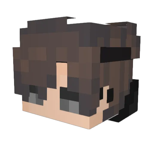 DeviousDucky_ Minecraft avatar head, 3D render