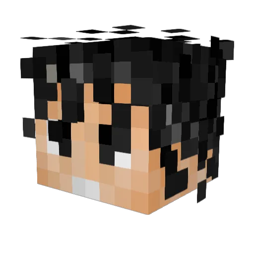 DeviousTurd Minecraft avatar head, 3D render