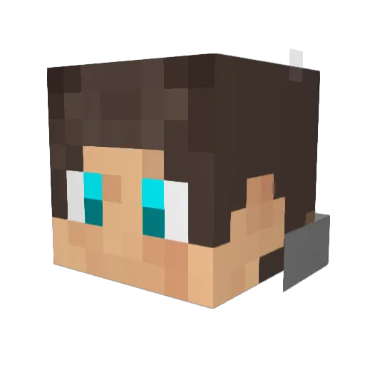 DevolveATela Minecraft avatar head, 3D render