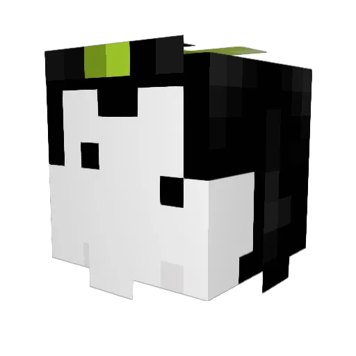 Devon1TheGame Minecraft avatar head, 3D render
