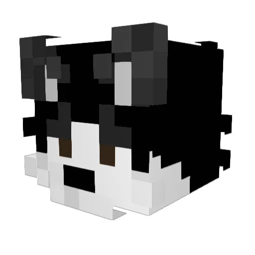 DevonSkull Minecraft avatar head, 3D render