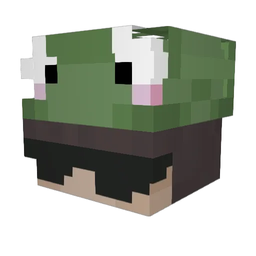 Devonchin0 Minecraft avatar head, 3D render