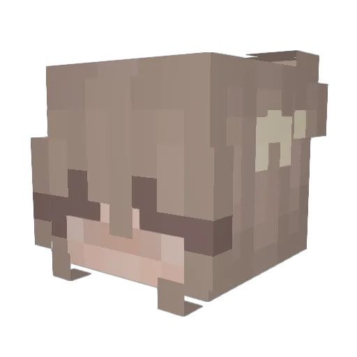 DevouringPrawn5 Minecraft avatar head, 3D render