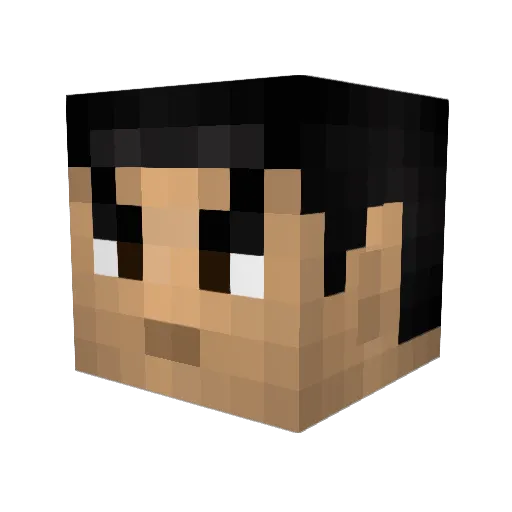 Devuk12 Minecraft avatar head, 3D render