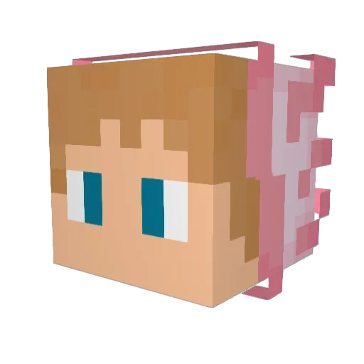 DevvUnknown Minecraft avatar head, 3D render