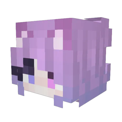Devyn1213 Minecraft avatar head, 3D render