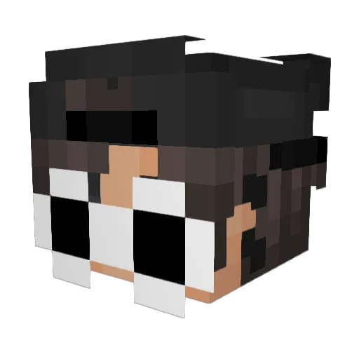 Dew8401 Minecraft avatar head, 3D render