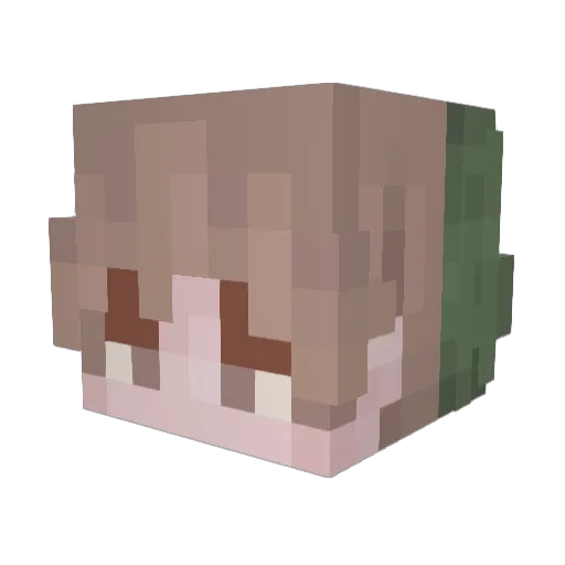 Dewdle7 Minecraft avatar head, 3D render