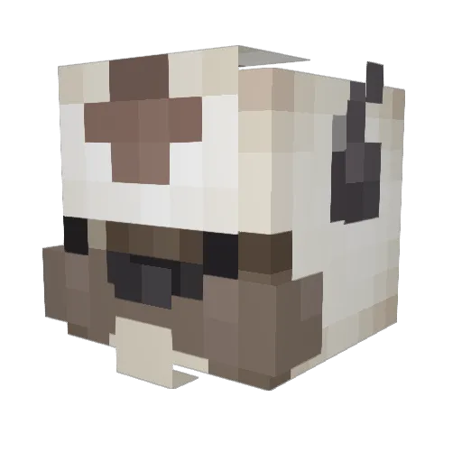 DeweyIsSquishy Minecraft avatar head, 3D render