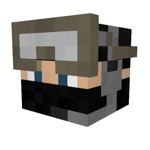Deweydog Minecraft avatar head, 3D render