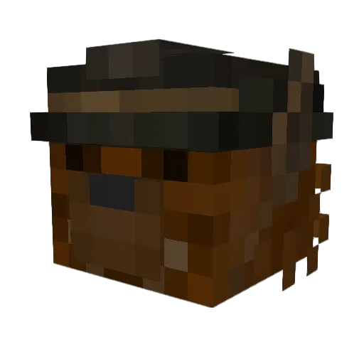 Dewg Minecraft avatar head, 3D render