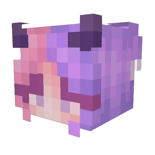 Dewhop Minecraft avatar head, 3D render