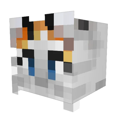 DewiVlinder Minecraft avatar head, 3D render