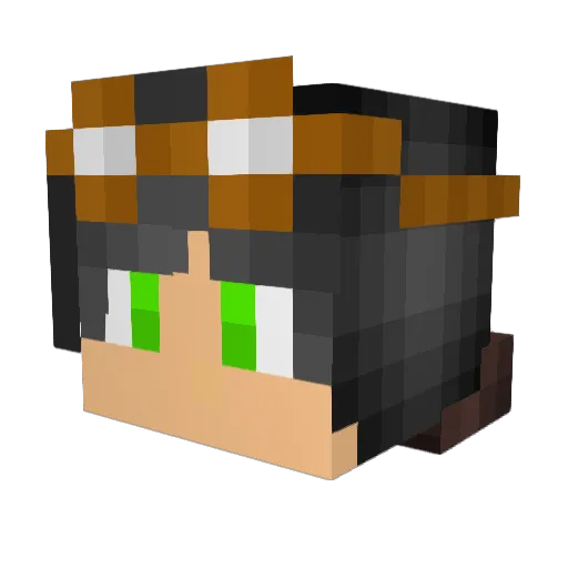 Dewnine9 Minecraft avatar head, 3D render