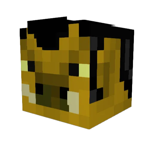 DewoHog Minecraft avatar head, 3D render