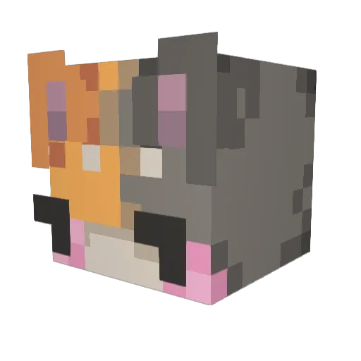 Dewsmith Minecraft avatar head, 3D render