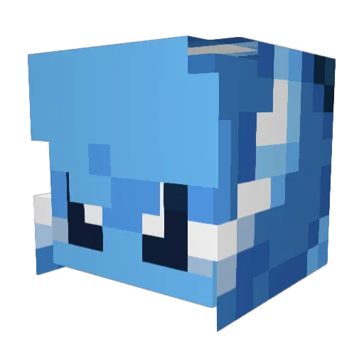 Dewubaroo Minecraft avatar head, 3D render