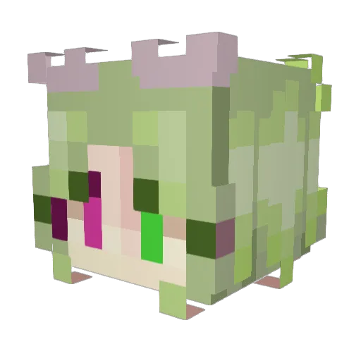Dewwy__ Minecraft avatar head, 3D render