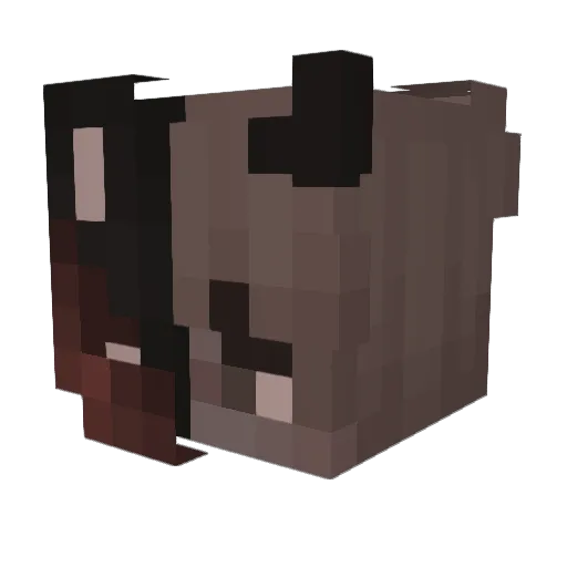 DexCoven Minecraft avatar head, 3D render