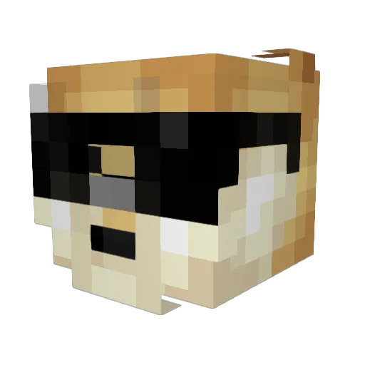 DexEN01 Minecraft avatar head, 3D render