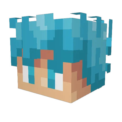 DexPlays24 Minecraft avatar head, 3D render