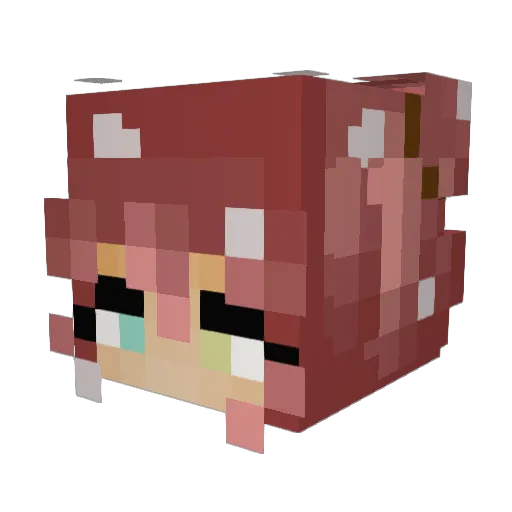 Dex_Dima Minecraft avatar head, 3D render