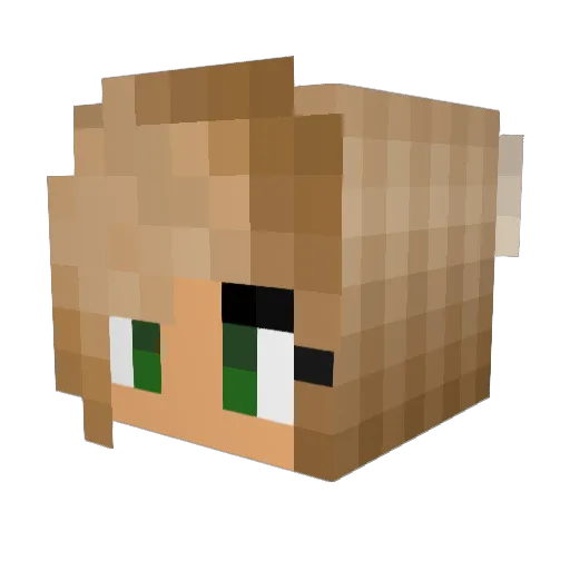 Dexhayn Minecraft avatar head, 3D render