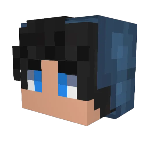Dexidoss Minecraft avatar head, 3D render